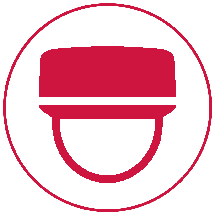 sonitrol-video-cameras-surveillance-icon